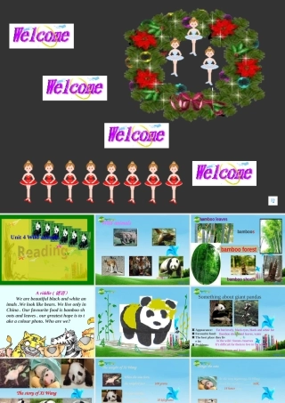 八年级英语上册 Unit4 Reading课件 牛津版 课件