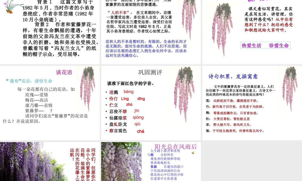 紫藤萝瀑布孙芳娥MicrosoftPowerPoint演示文稿