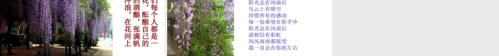 紫藤萝瀑布孙芳娥MicrosoftPowerPoint演示文稿