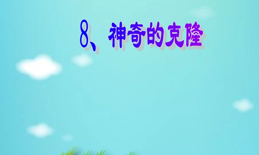 神奇的克隆课件