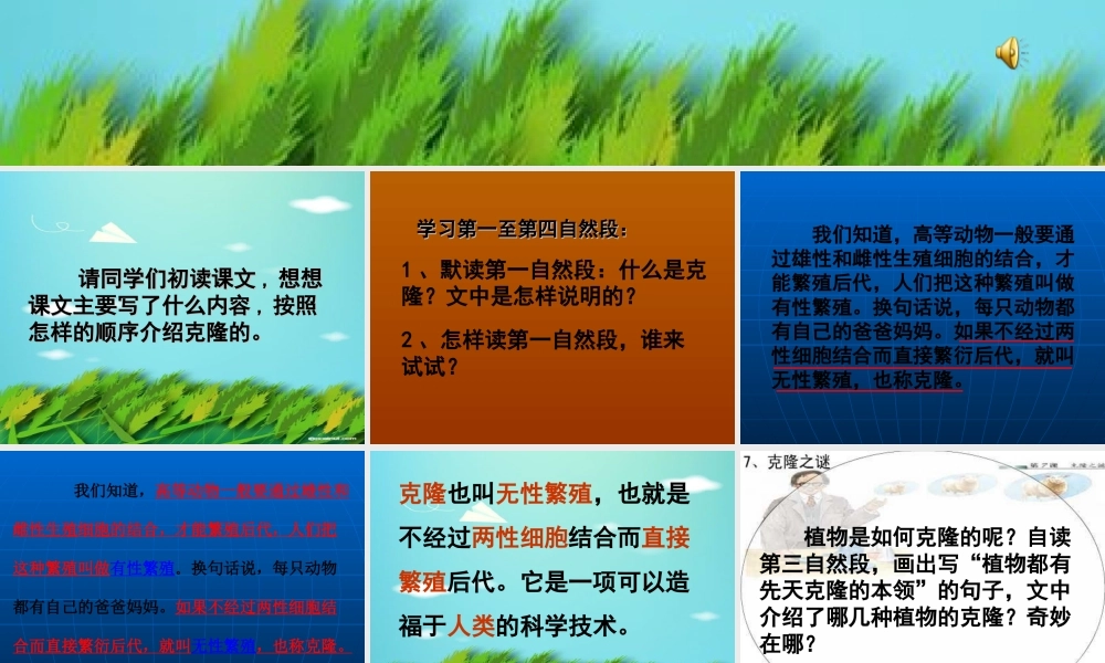 神奇的克隆课件