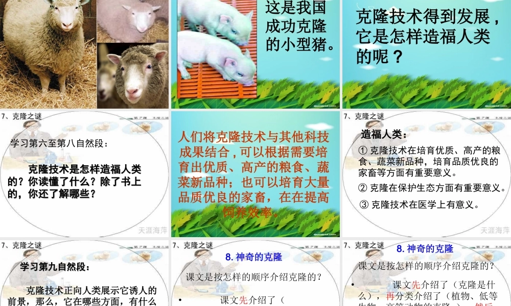 神奇的克隆课件