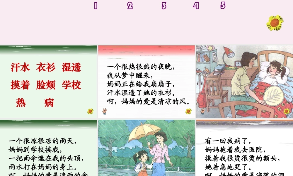 《妈妈的爱》课件