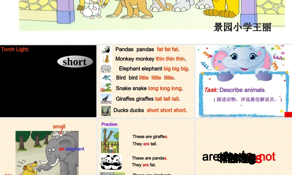 模块单元课件