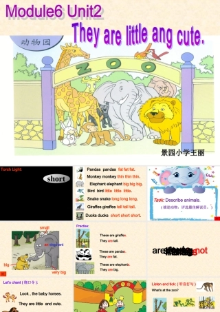 模块单元课件