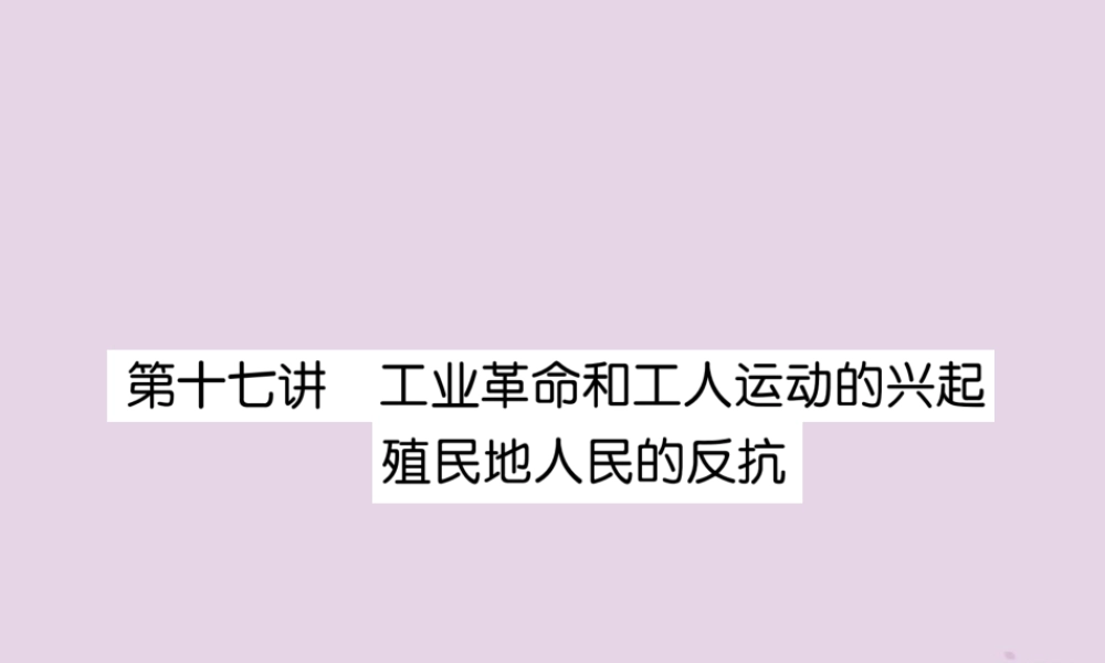 中考历史总复习 第一编 教材知识速查篇 模块三 世界近代史 第17讲 工业革命和工人运动的兴起 殖民地人民的反抗(精练)课件