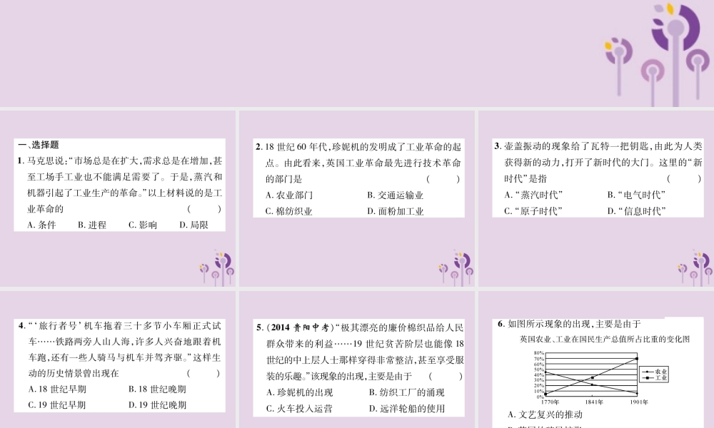 中考历史总复习 第一编 教材知识速查篇 模块三 世界近代史 第17讲 工业革命和工人运动的兴起 殖民地人民的反抗(精练)课件