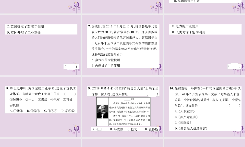 中考历史总复习 第一编 教材知识速查篇 模块三 世界近代史 第17讲 工业革命和工人运动的兴起 殖民地人民的反抗(精练)课件