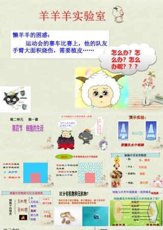 中学七年级生物上册 2.1.4 细胞的生活课件 (新版)新人教版 课件