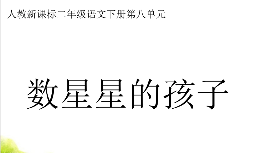 《数星星的孩子》教学课件3