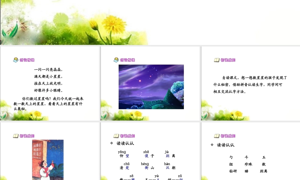 《数星星的孩子》教学课件3