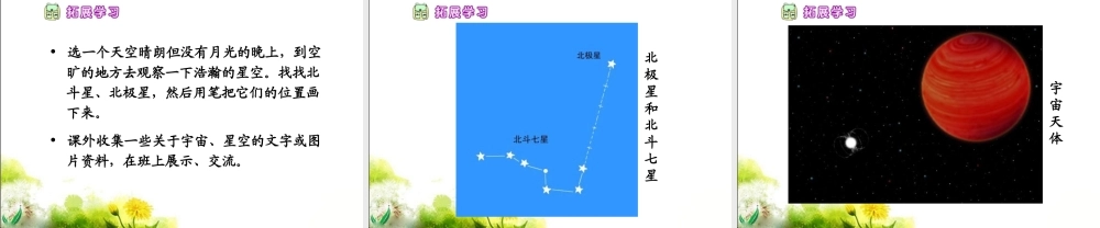 《数星星的孩子》教学课件3