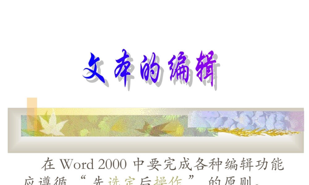 文本的编辑PPT课件