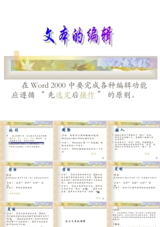 文本的编辑PPT课件