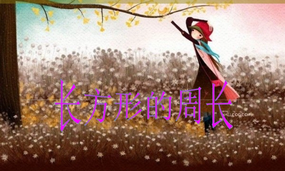 长方形和正方形的周长1