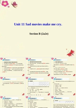 九年级英语全册 Unit 11 Sad movies make me cry Section B(2a 2e)课件 (新版)人教新目标版 课件