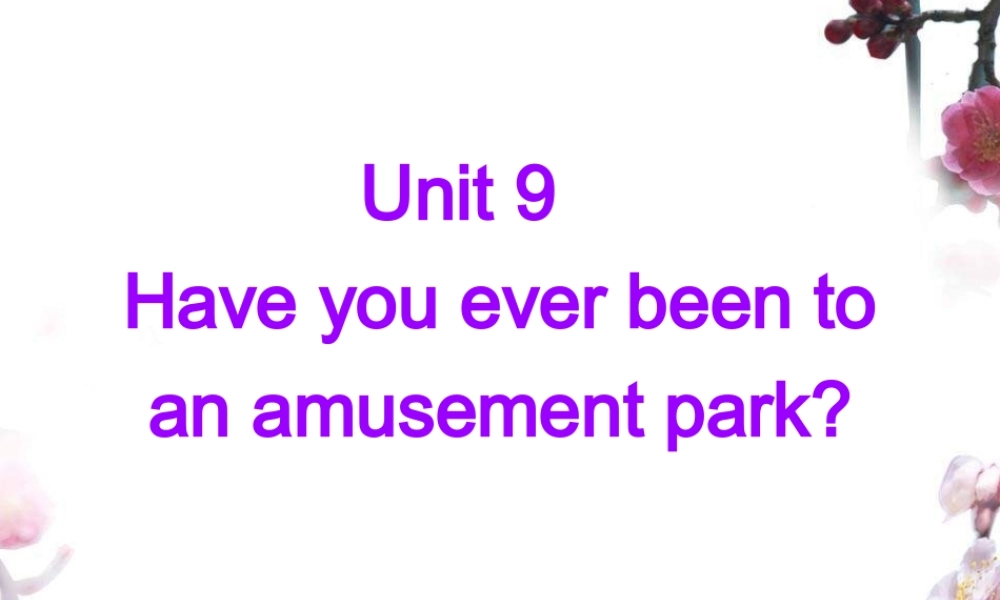八年级英语下册 Unit9 Have you ever been to an amusement park 课件5 人教新目标版 课件