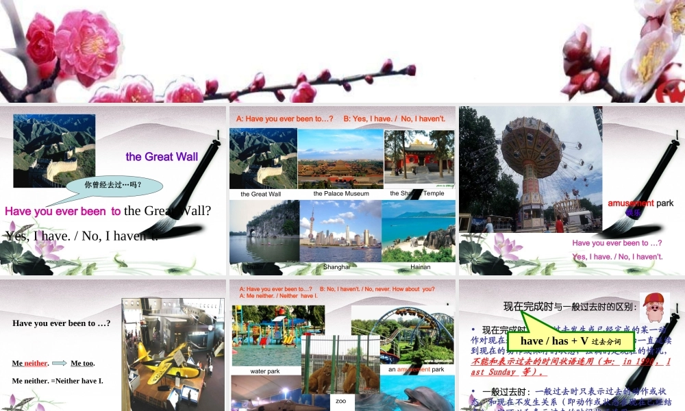 八年级英语下册 Unit9 Have you ever been to an amusement park 课件5 人教新目标版 课件