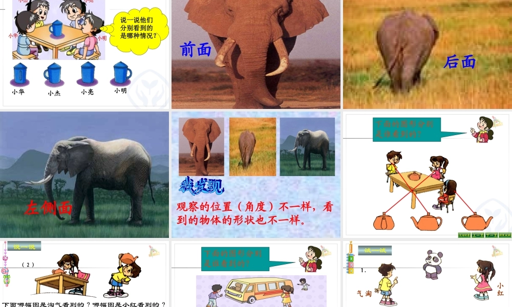 观察物体一课件