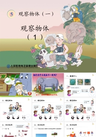 观察物体一课件