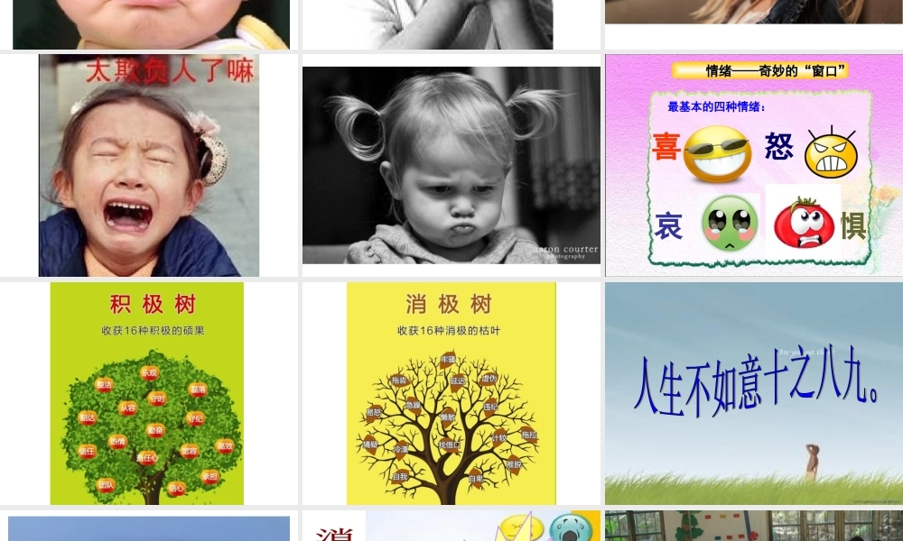 参赛做情绪的主人新