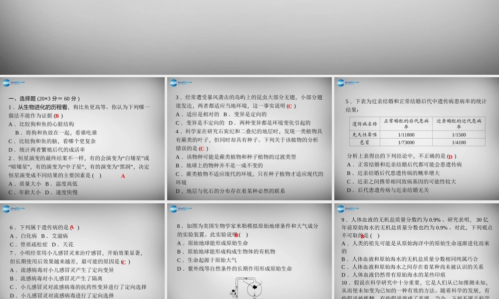 九年级科学下册 第1章 演化的自然单元清课件 浙教版 课件