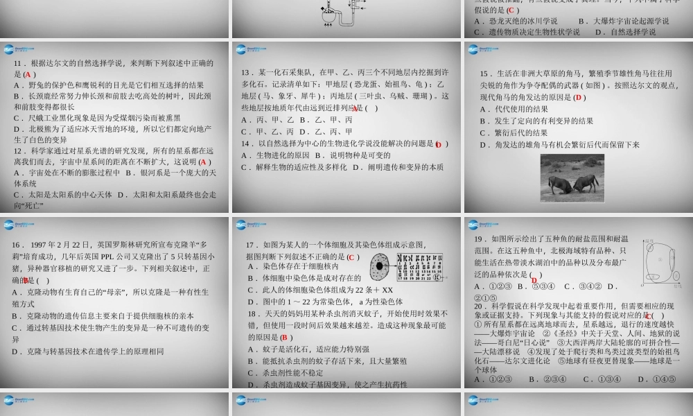九年级科学下册 第1章 演化的自然单元清课件 浙教版 课件