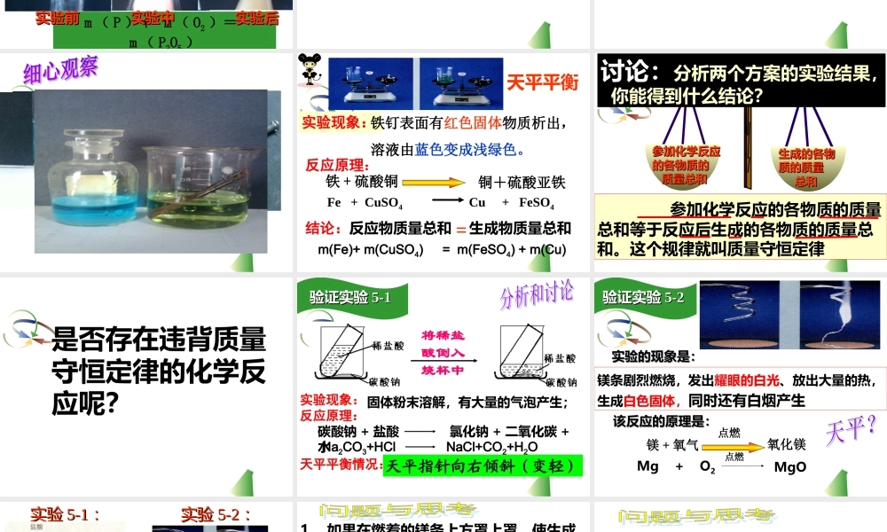 质量守恒定律课时1