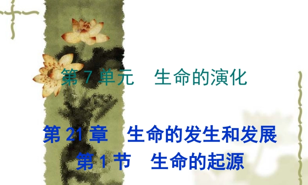 八年级生物 生命的起源 课件