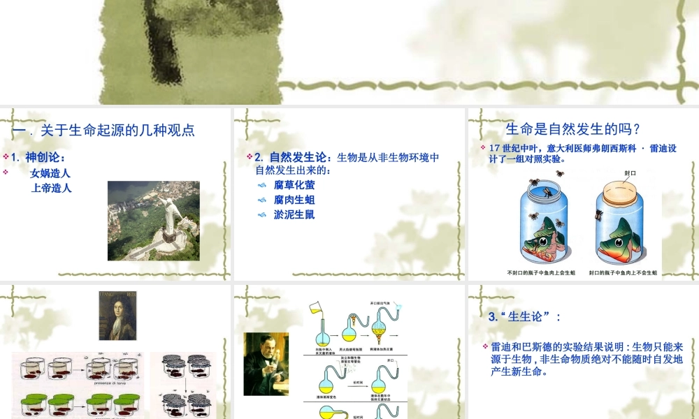 八年级生物 生命的起源 课件