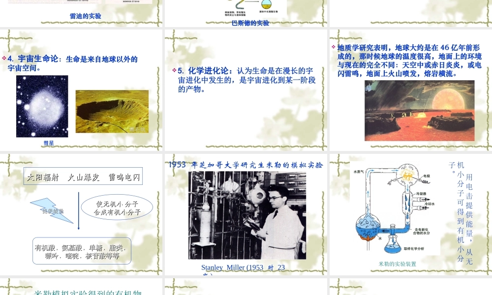 八年级生物 生命的起源 课件