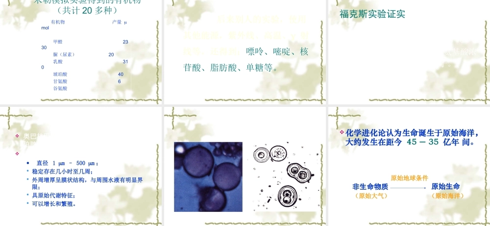 八年级生物 生命的起源 课件