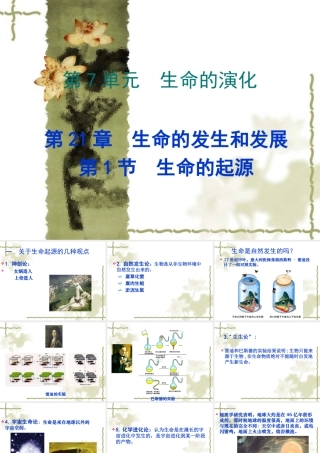 八年级生物 生命的起源 课件