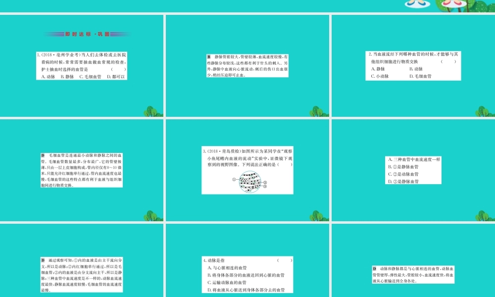 七年级生物下册 4.4.2 血流的管道 血管习题课件(新版)新人教版 课件