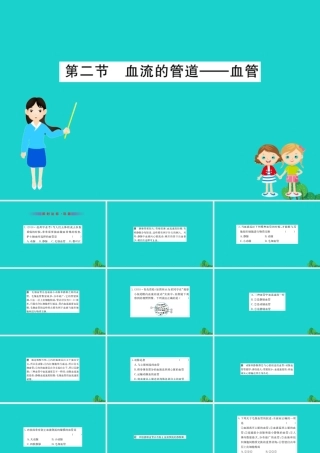 七年级生物下册 4.4.2 血流的管道 血管习题课件(新版)新人教版 课件