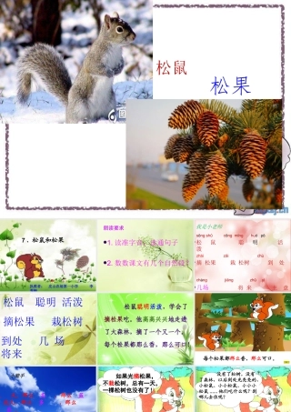 《松鼠和松果》课件 (2)