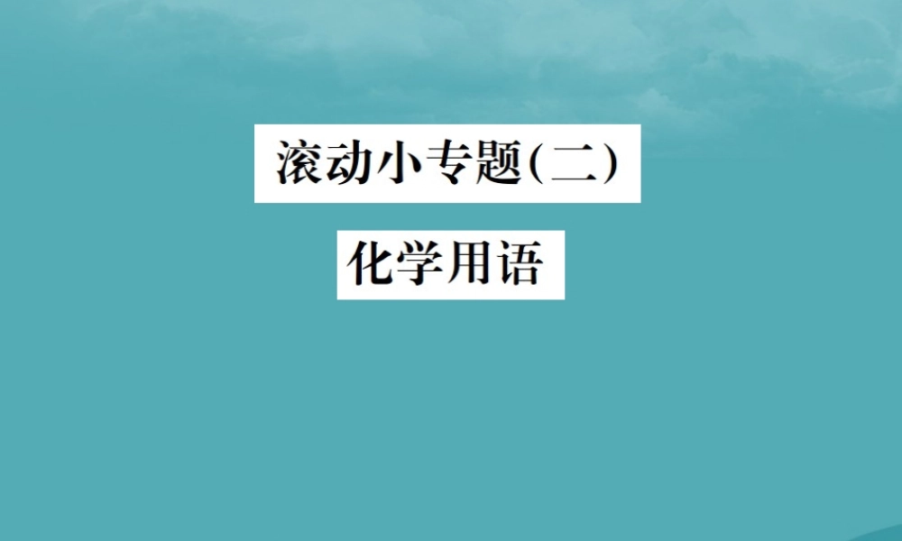 中考化学复习 滚动小专题(二)化学用语课件 鲁教版 课件