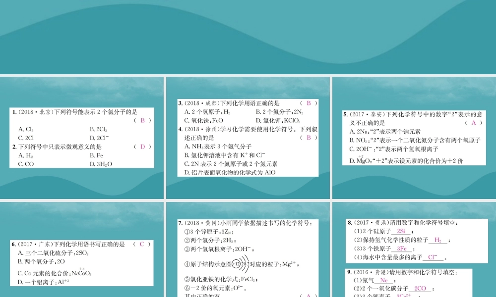 中考化学复习 滚动小专题(二)化学用语课件 鲁教版 课件