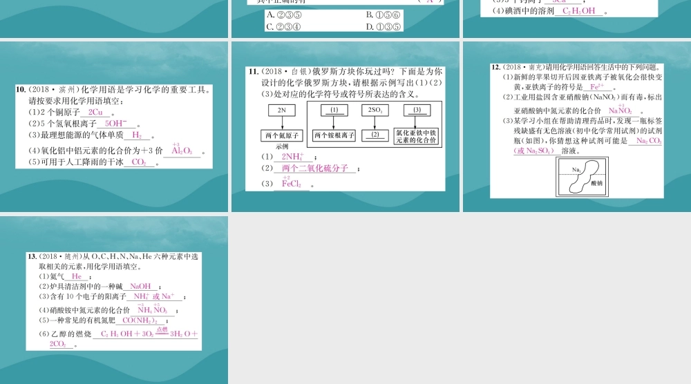 中考化学复习 滚动小专题(二)化学用语课件 鲁教版 课件