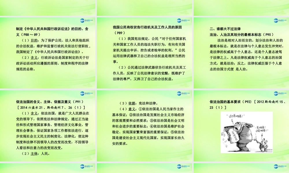 中考政治总复习 知识梳理精讲 九全 第八课 依法治国课件 人民版 课件