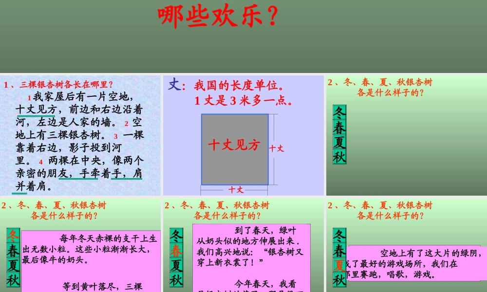 2三棵银杏树PPT课件