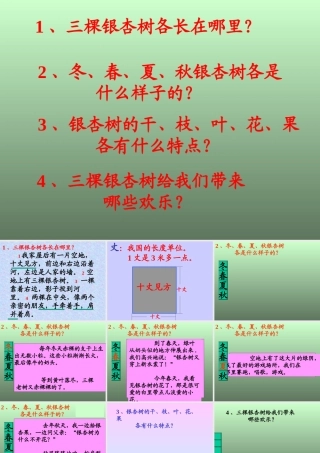 2三棵银杏树PPT课件