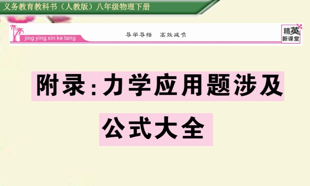 八年级物理下册 附录课件 (新版)新人教版 课件