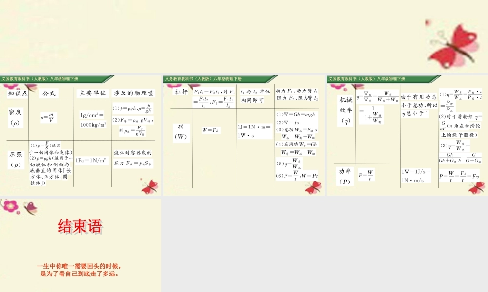 八年级物理下册 附录课件 (新版)新人教版 课件