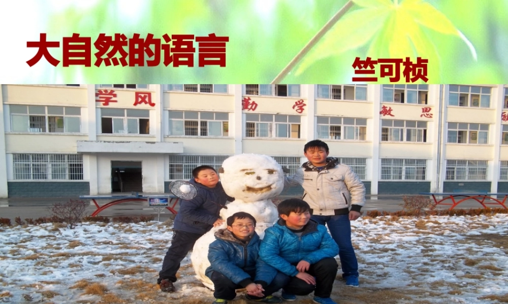 《大自然的语言》----凤台县钱庙初中冯立