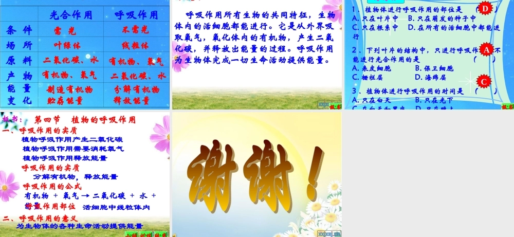 八年级生物上册 植物的呼吸作用课件 苏教版 课件