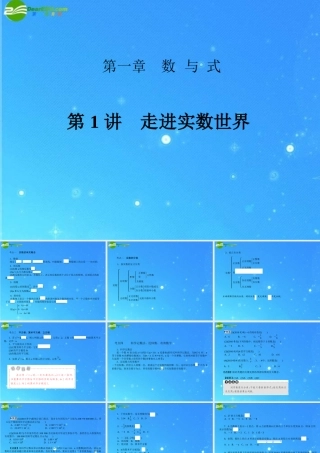 中考数学复习 第1讲 走进实数世界课件