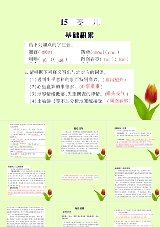 九年级语文下册 第四单元第15课(枣儿)课件 人教新课标版 课件