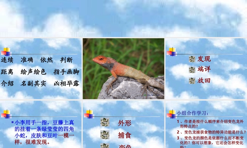 《变色龙》教学课件