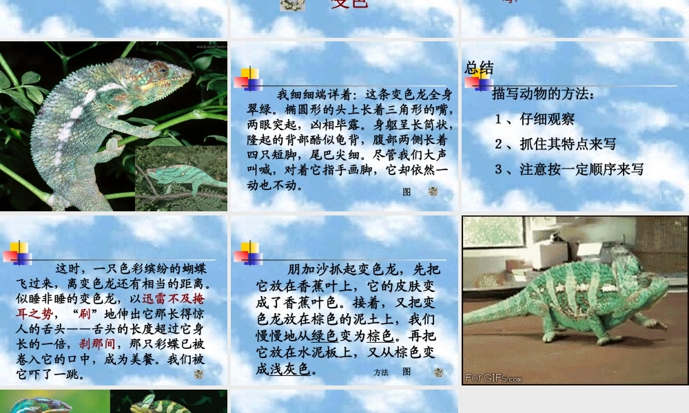 《变色龙》教学课件